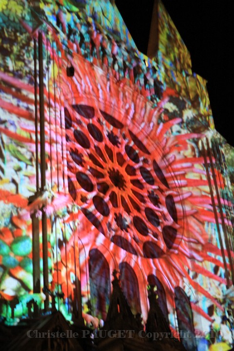 105_chartres-en-lumieres_2010.JPG