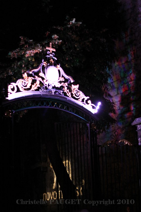 14_chartres-en-lumieres_2010.JPG