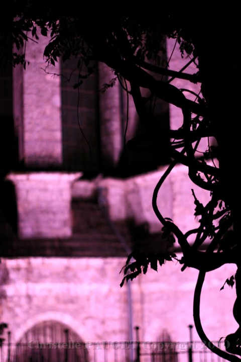 15_chartres-en-lumieres_2010.jpg