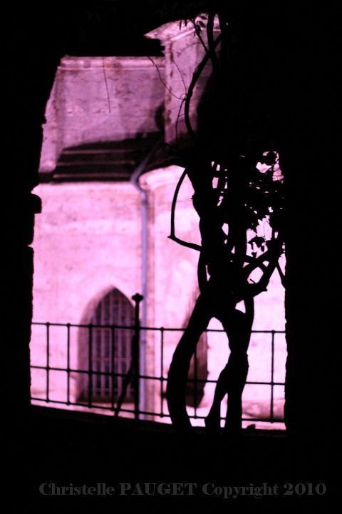 17_chartres-en-lumieres_2010.JPG