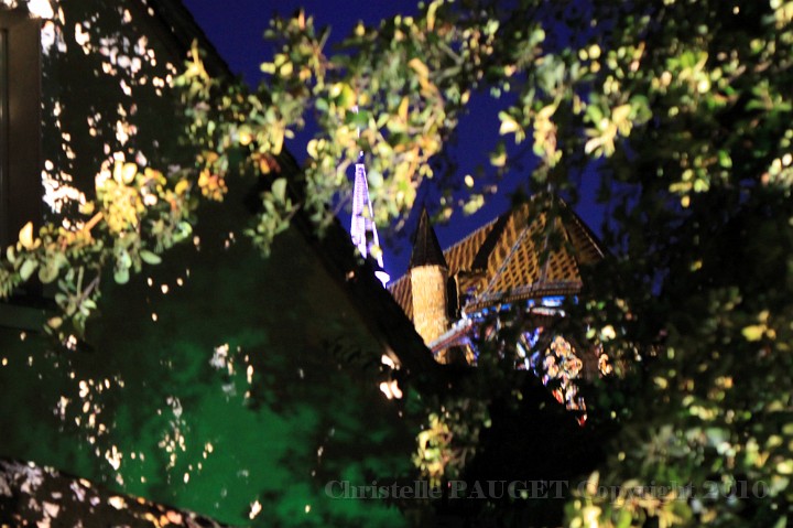 193_chartres-en-lumieres_2010.jpg