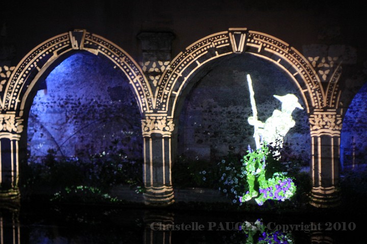 202_chartres-en-lumieres_2010.JPG