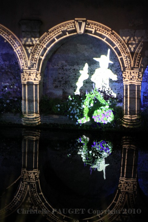 203_chartres-en-lumieres_2010.JPG