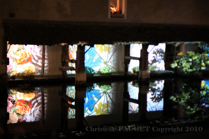 209_chartres-en-lumieres_2010.JPG