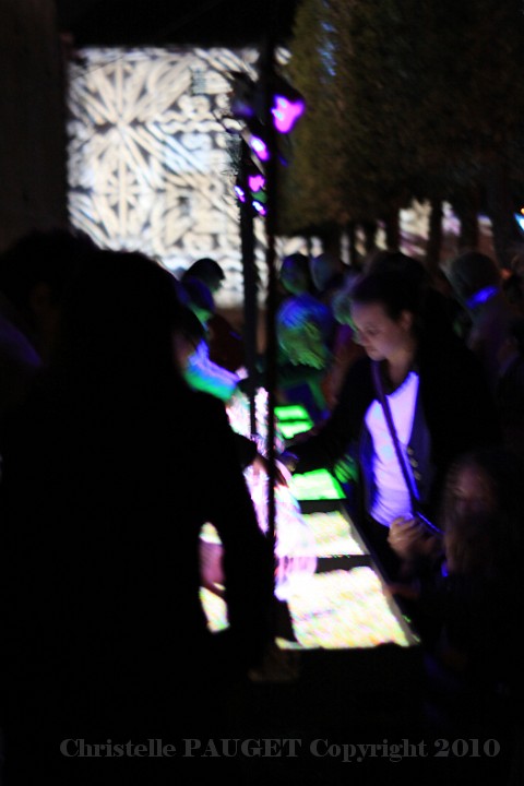 57_chartres-en-lumieres_2010.JPG