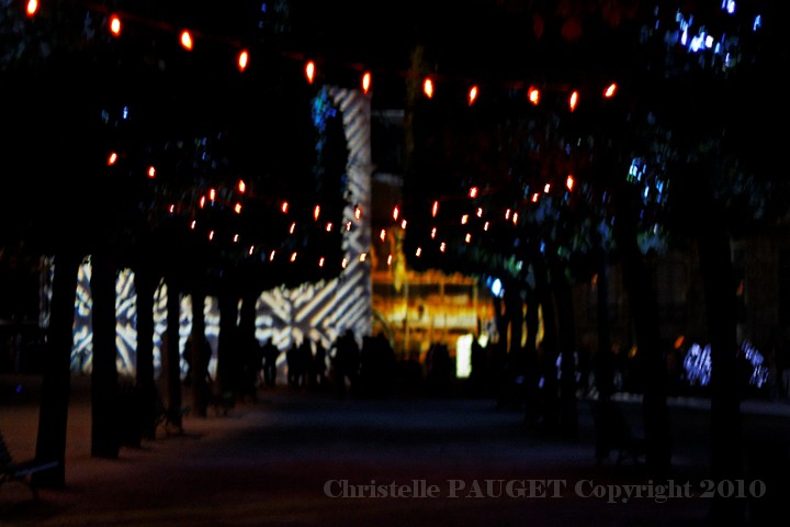 59D_chartres-en-lumieres_2010.jpg