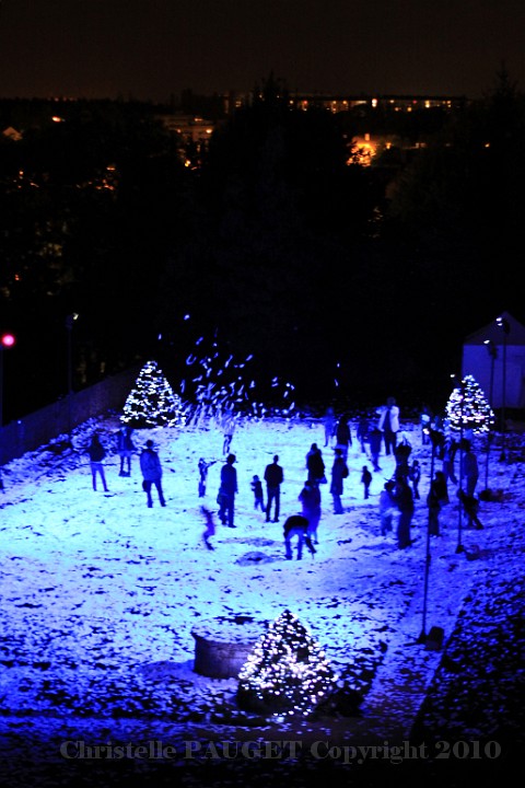 66_chartres-en-lumieres_2010.jpg