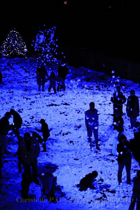 67_chartres-en-lumieres_2010.JPG