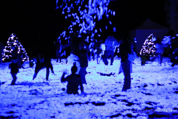 68_chartres-en-lumieres_2010.JPG