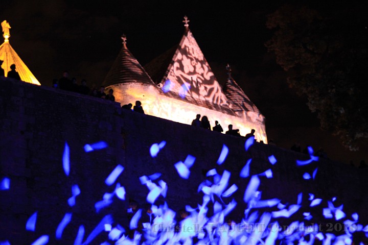 82_chartres-en-lumieres_2010.JPG