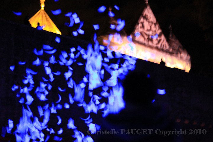 88_chartres-en-lumieres_2010.JPG