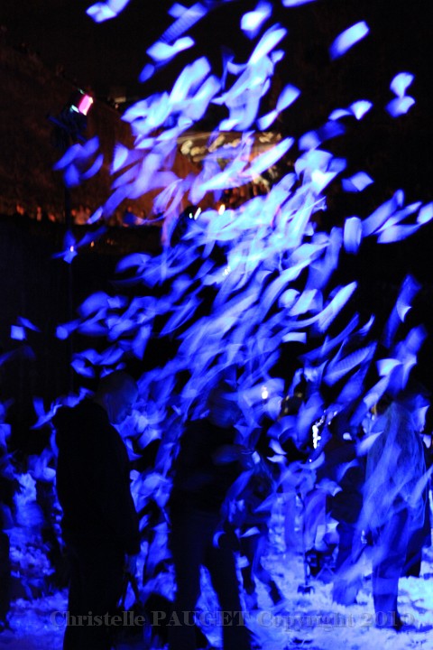 91_chartres-en-lumieres_2010.JPG