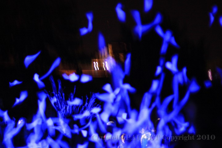 98_chartres-en-lumieres_2010.JPG