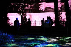 19_chartres-en-lumieres_2010