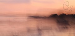 01.Nocturne-rose-sur-mer_2009