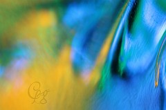 IMG_6513